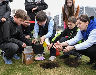 На территории парка «Россия – Моя история» в Твери школьники посадили крымскую сосну